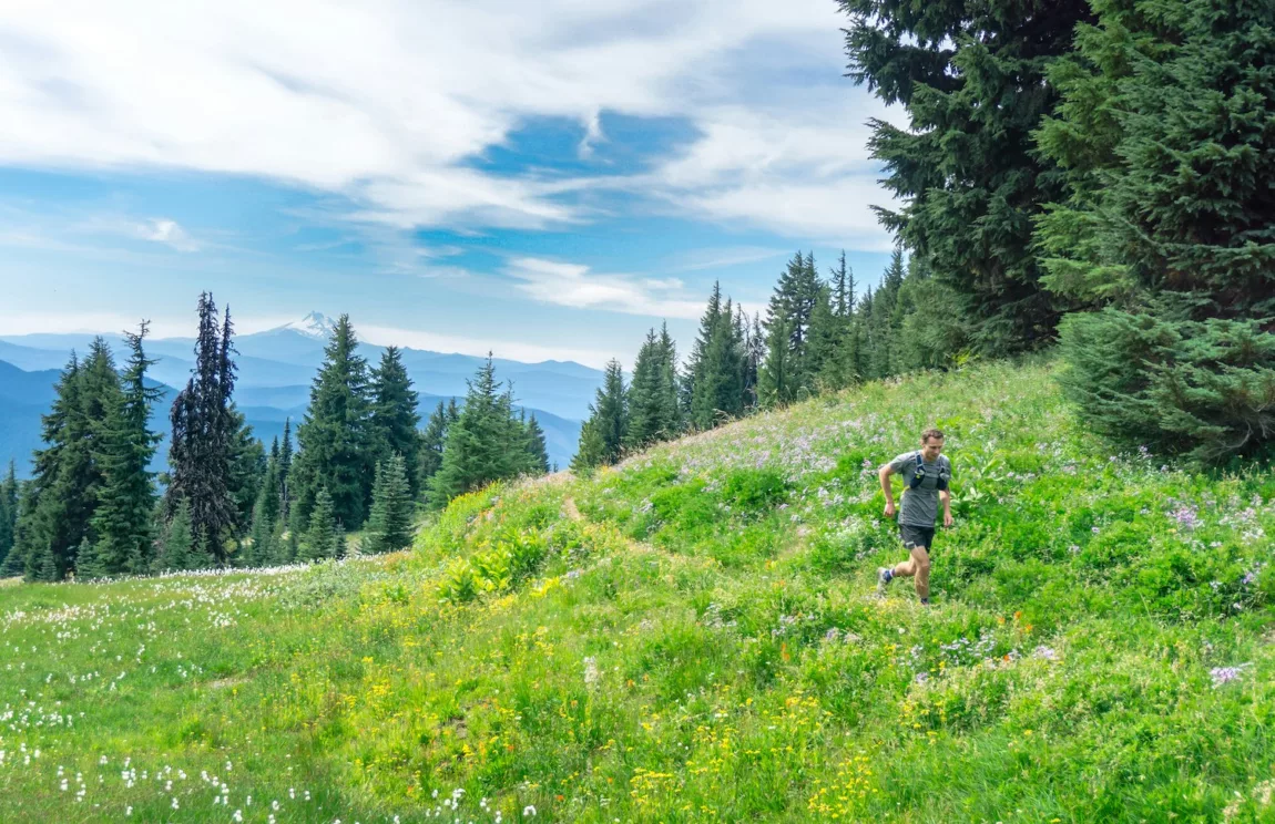 What are Trip Plans and Why Leave One Behind?